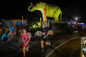 BIB: 
                            <button type="button" onclick="openModal(26552360)" class="btn btn-primary btn-sm float-right btn-popup" data-toggle="modal" data-target=".modal-high-quality">
                        <i class="fas fa-shopping-cart"></i> Add to Cart
                    </button>
                                            <button type="button" onclick="isThisMe(26552360, true)" class="btn btn-success btn-sm float-right btn-popup btn-isme hidden" data-toggle="tooltip" data-placement="bottom" title="นี่คือรูปของคุณใช่ไหม คลิกที่นี่เพื่อเอาเข้าอัลบั้ม">
                        <i class="fas fa-plus"></i> Add to album
                    </button>
                    <button type="button" onclick="isThisMe(26552360, false)" class="btn btn-warning btn-sm float-right btn-popup btn-isnotme hidden">
                        <i class="fas fa-ban"></i> Remove from album
                    </button>